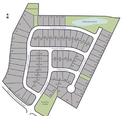 Towne lake, woodstock, cherokee county, georgia, land sales, subdivision, bells ferry, active adult 